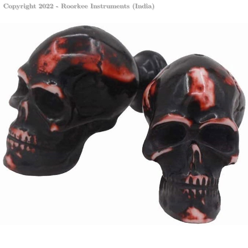 Skull Decorative Resin Dresser Knob for Furniture, Chest of Drawers, Cupboard, Nursery Drawer and Cabinet Pull, Sideboards and Wardrobes (Pack of 2, Black)