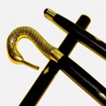 Brass Swan Edwardian Style Handle Head Cane Shaft Wooden Walking Stick, Standard, Walking Canes